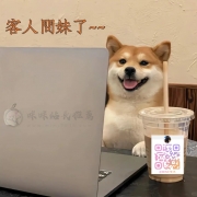【即將上岸・最後的福利價】