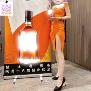 氣質御姊｜文琪  170 / 49 / C ｜ 25歲