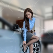 豪車三姝 · 極品登場   公子欲駕何車？